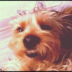 Meet your Posher, Heather